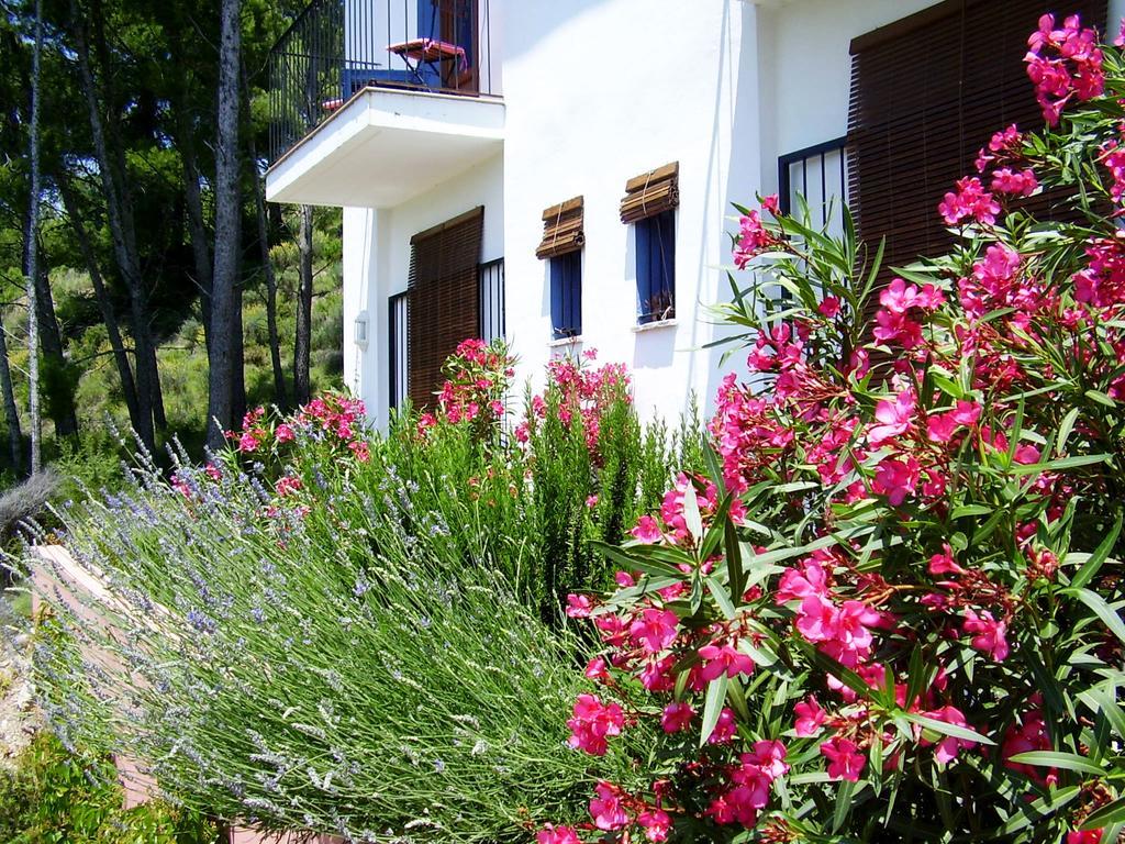 Bed and Breakfast Sharíqua Jérica Exterior foto